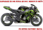 Preview: Beispiel Bild für die Farben, Skull Grün für Kawasaki ZX-10R Ninja 2011-2015